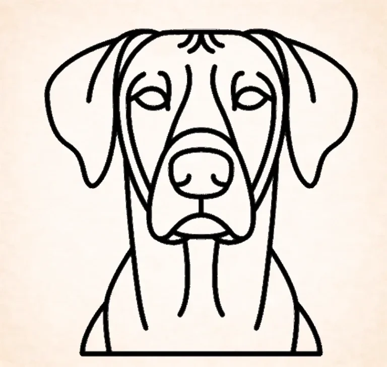 Rhodesian Ridgeback