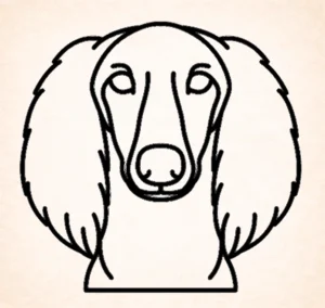 Salukis