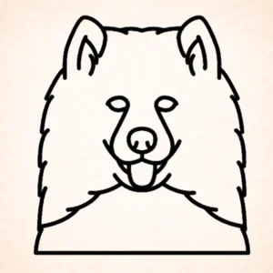 Samoyeds