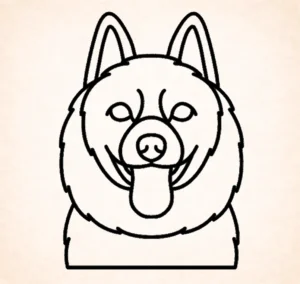 Schipperkes