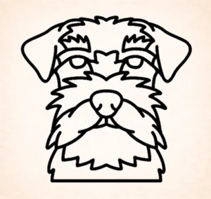 Schnauzer