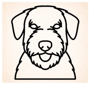 Sealyham terrier