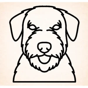 Sealyham terrier