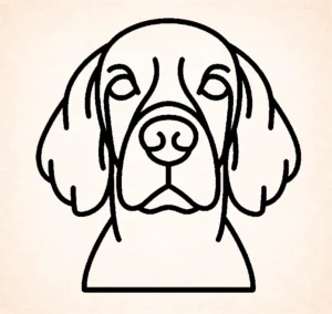 Setter (Ierse)