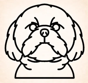 Shih tzu