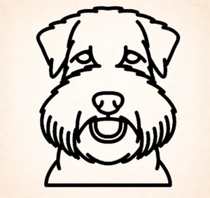 Soft Coated Wheaten terrier