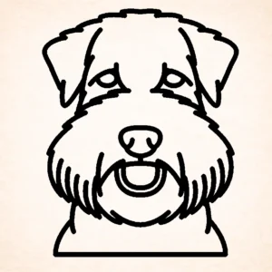 Soft Coated Wheaten terrier