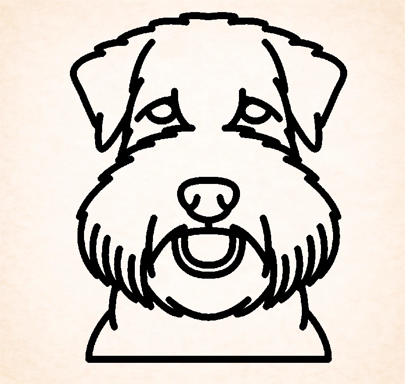 Soft Coated Wheaten terrier