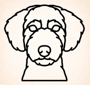 Spaanse waterhond