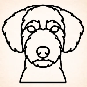 Spaanse waterhond