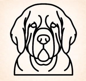 Spaniel (Clumber)