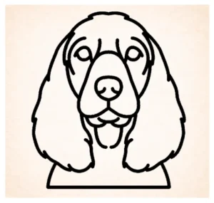 Spaniel (Field)