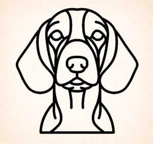 Spaniel (Welsh Springer)