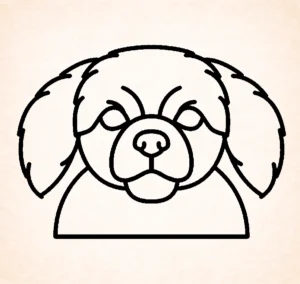 Tibetan Spaniel