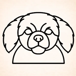 Tibetan Spaniel