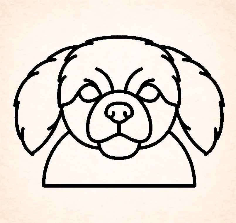 Tibetan Spaniel