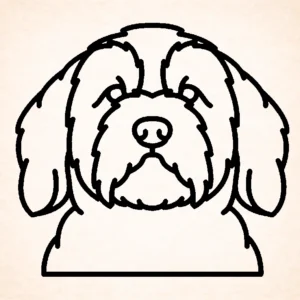 Tibetan terrier