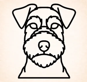 Welsh terrier