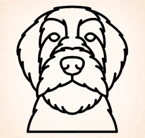 Wirehaired Pointing Griffon